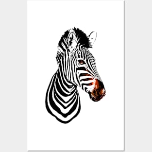 Zebra Black Stripes Posters and Art